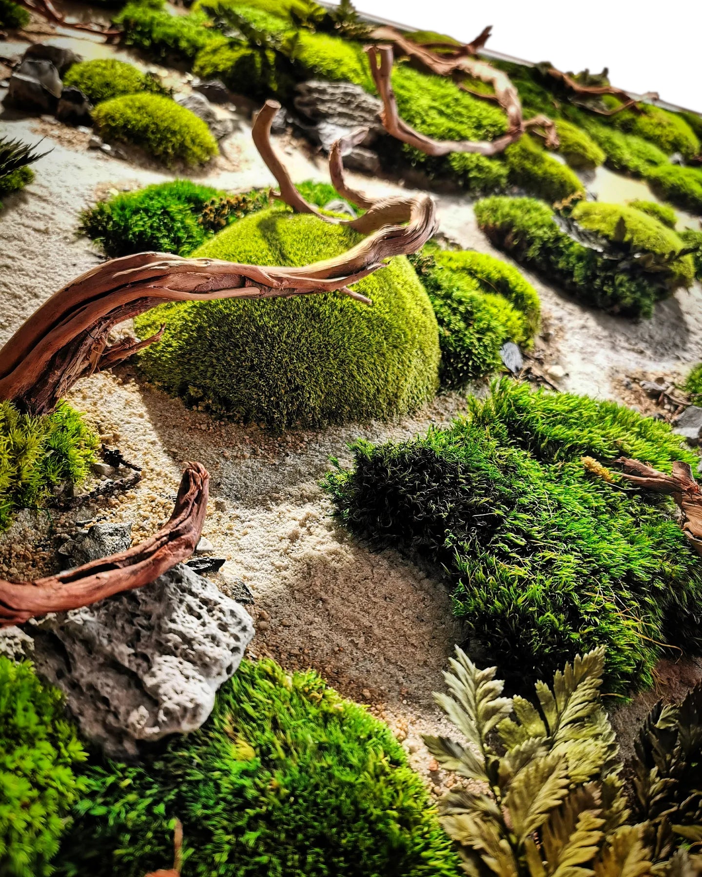 Custom-made wooden picture moss picture "Dried Riverbed" - natural artwork with wood, real roots and stones - wall art in a real wood frame