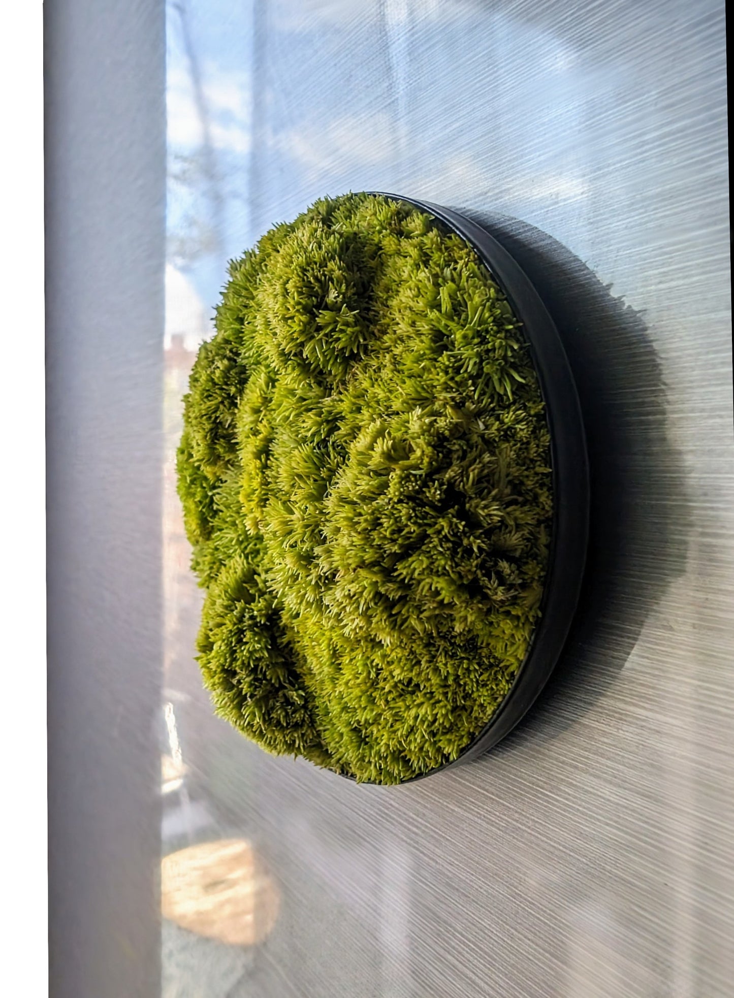 Custom-made small moss picture "Little Hills" - Magnetic plant picture for refrigerator (Ø 7cm)