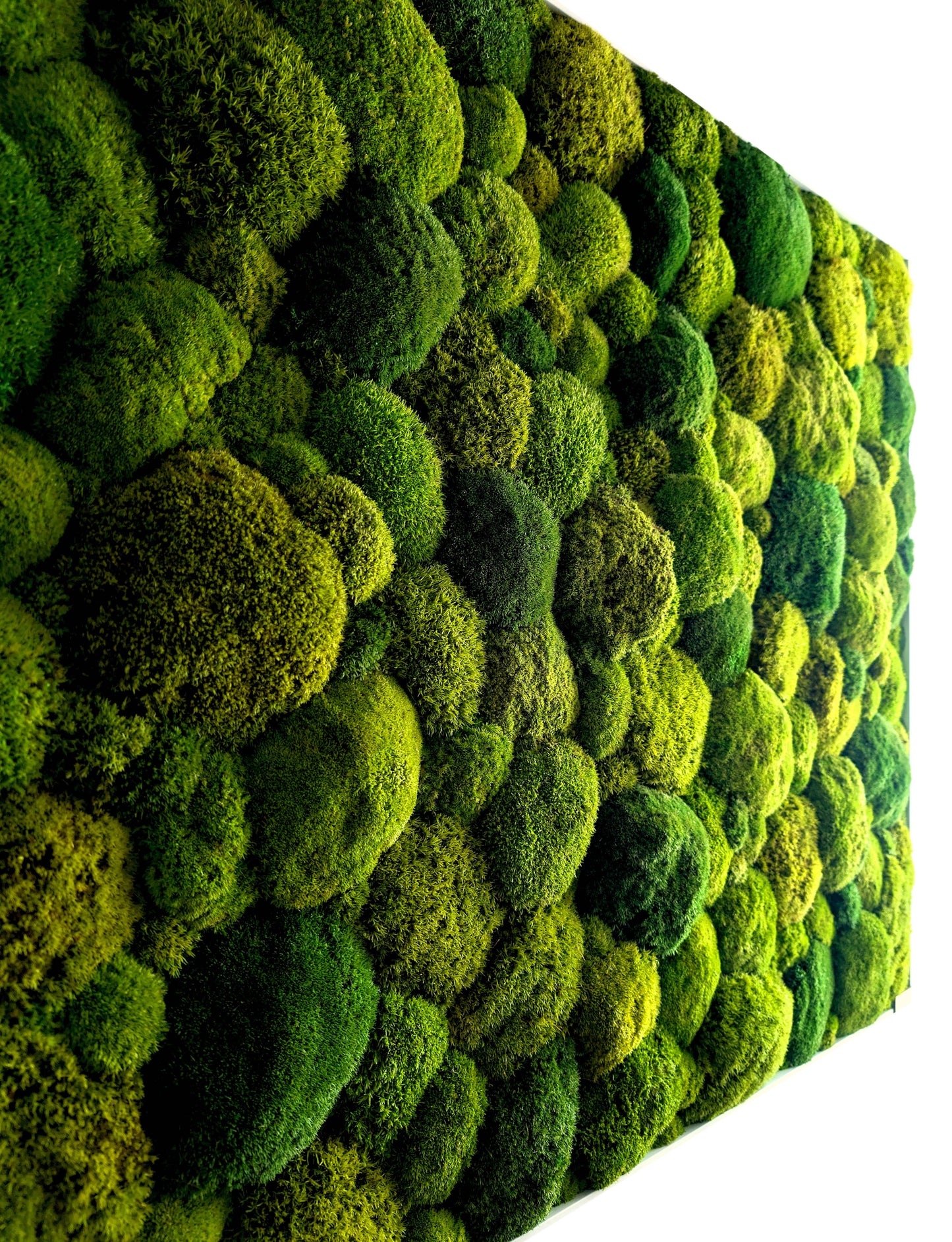 Maßgefertigtes großes Moosbild XXL 'Green Hills' für Wohnzimmer & Küche - Moosmix Pflanzenbild 120-200cm