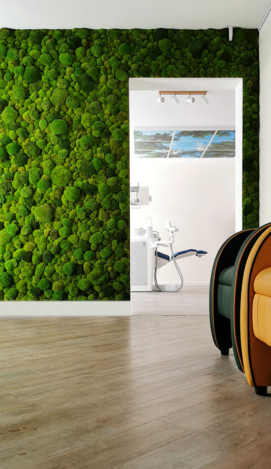 Custom-made individual moss wall – ball mosses mixed on MDF boards (8mm)