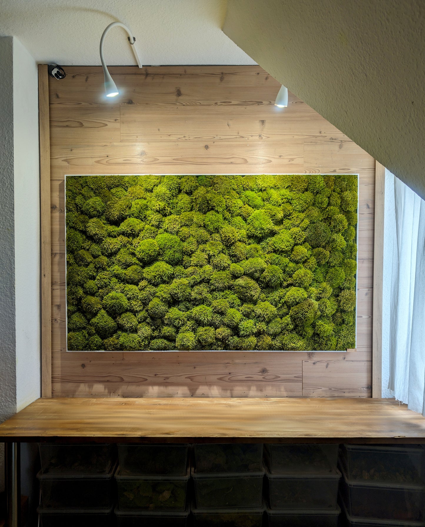 Custom-made moss picture - plant picture in real wood frame - frame rectangular 80-200cm Provence Moose