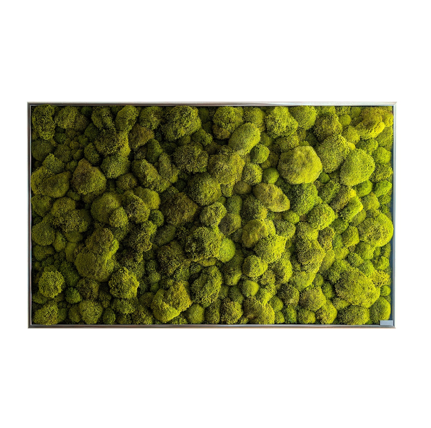 Custom-made large moss picture XXL 'Green Hills' for living room &amp; kitchen - moss mix plant picture 120-200cm