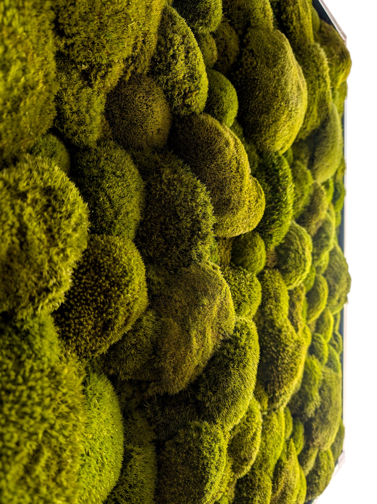 Custom-made large moss picture XXL 'Green Hills' for living room &amp; kitchen - moss mix plant picture 120-200cm