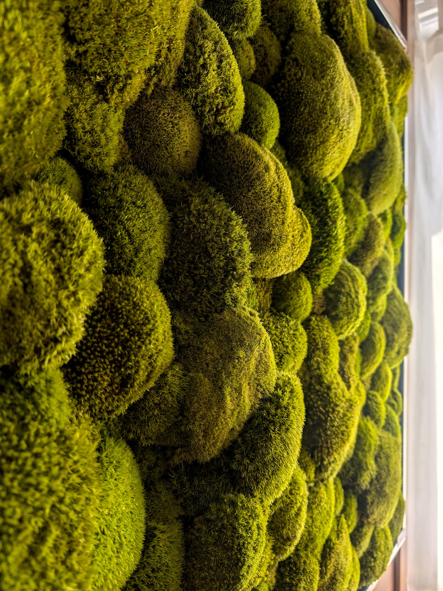 Custom-made large moss picture XXL 'Green Hills' for living room &amp; kitchen - moss mix plant picture 120-200cm