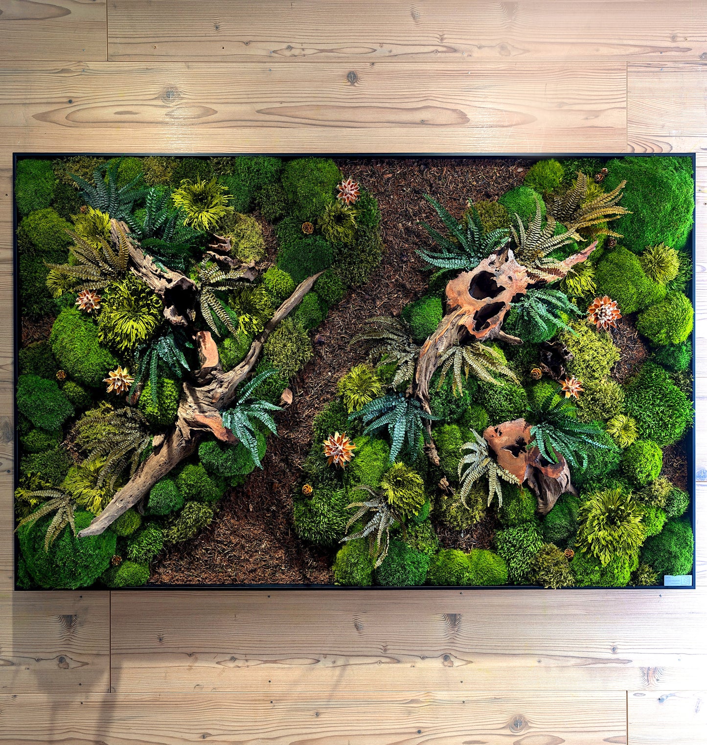 Tableau de mousse sur mesure "Forest Paths Autumn" - tableau de plantes dans un cadre fin et moderne (80-200 cm) - œuvre d'art naturelle avec de vraies racines