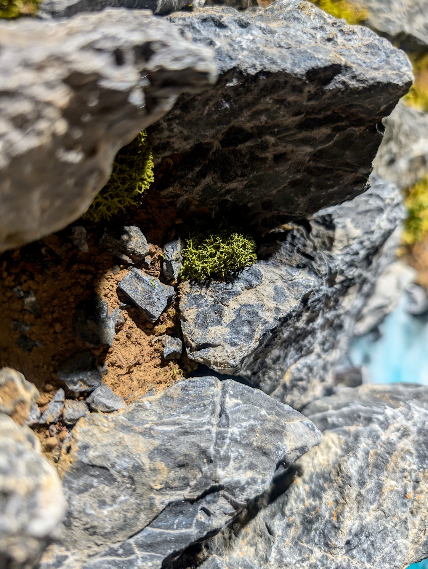 Custom Round Moss Picture Ocean Picture 'New Zealand' - Handmade Beach and Coastal Wall Art