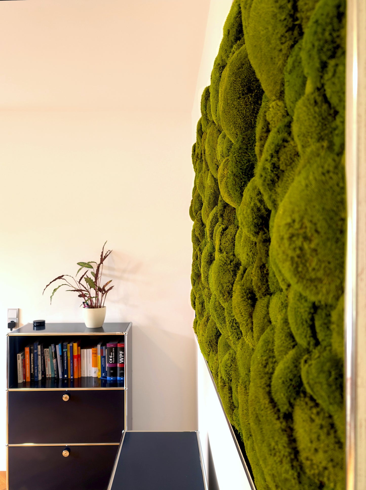 Custom-made large moss picture XXL 'Green Hills' for living room &amp; kitchen - moss mix plant picture 120-200cm