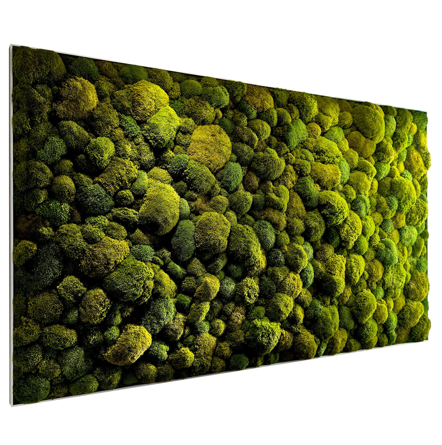 Maßgefertigtes großes Moosbild XXL 'Green Hills' für Wohnzimmer & Küche - Moosmix Pflanzenbild 120-200cm