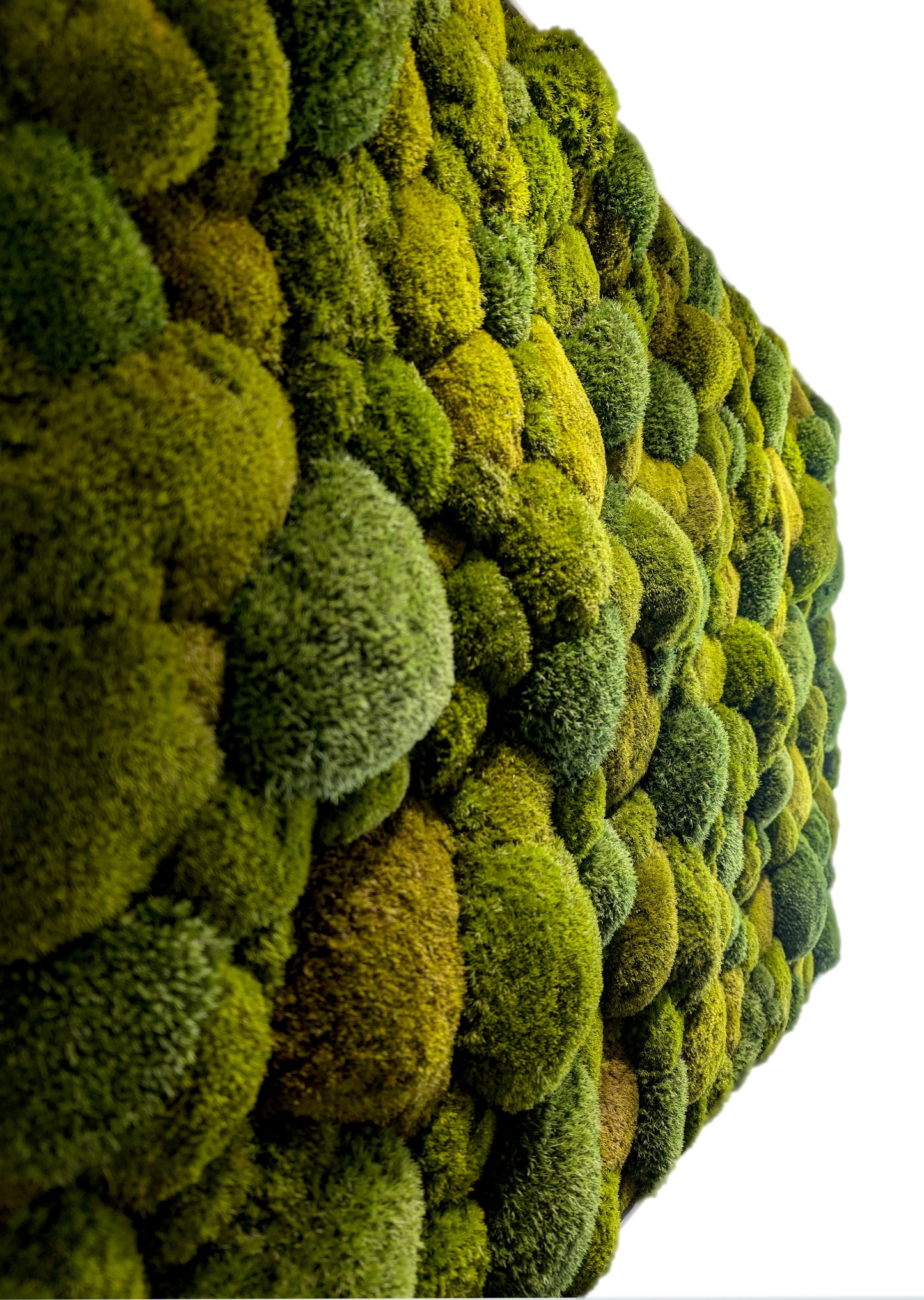 Maßgefertigtes großes Moosbild XXL 'Green Hills' für Wohnzimmer & Küche - Moosmix Pflanzenbild 120-200cm