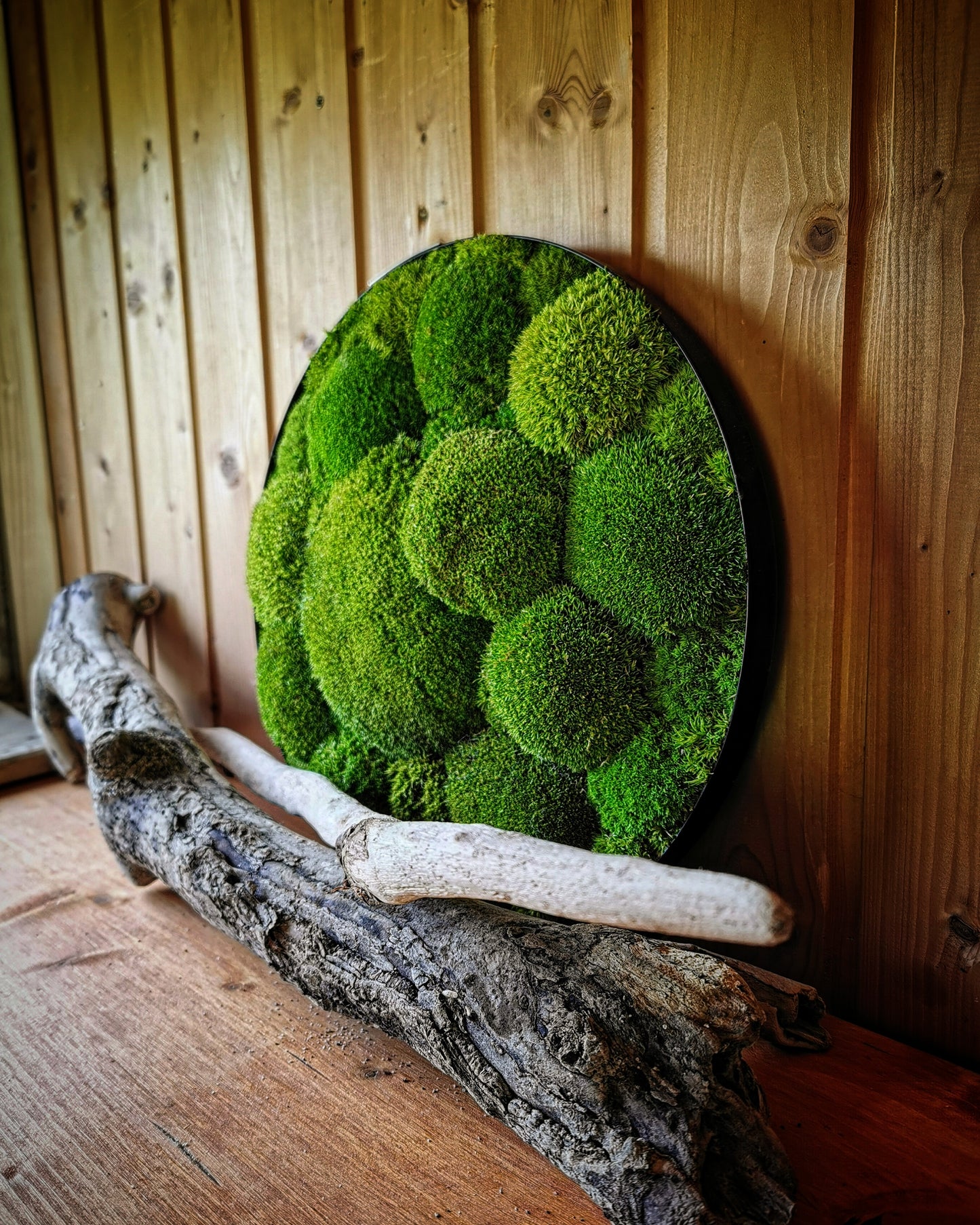 Tableau de mousse sur mesure, tableau végétal avec boule et boule de mousse - couleur vert clair - cadre rond Ø 30-100cm