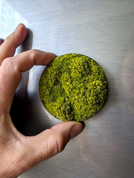 Custom-made small moss picture "Little Hills" - Magnetic plant picture for refrigerator (Ø 7cm)